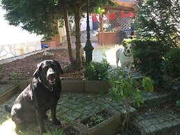 Ferienhaus Hagenwinkel