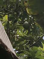 Detente Du Cacique Villa Hotel