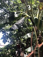 Detente Du Cacique Villa Hotel