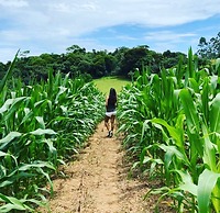 Paraty Hotel Fazenda & Spa