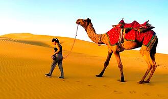 Sheesh Mahal Desert Camp