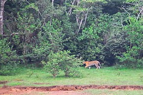 Spice Villa Thekkady