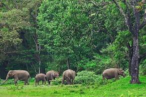 Spice Villa Thekkady