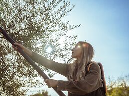 Agriturismo Panieracci