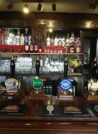 The Bear on the Square