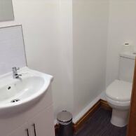 The Bear on the Square