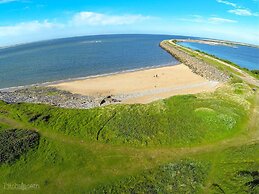 The Bear on the Square