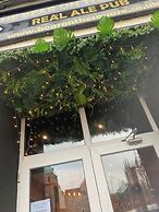 The Bear on the Square