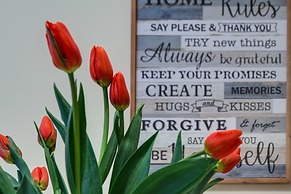 Travel & Stay - Sistina