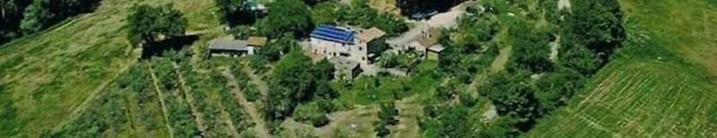 Agriturismo Domus Etrusca