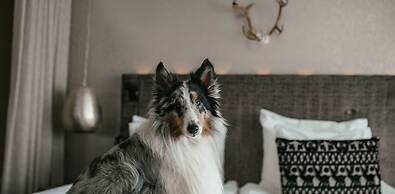 Lapland Hotels Bulevardi