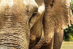 Le Bel Air Resort Luang Prabang