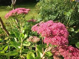 Garth Dderwen Guest House