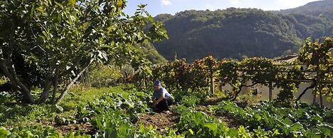 Residenza d'Epoca Borgodifiume