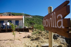 Biovilla Sustentabilidade