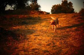 Biovilla Sustentabilidade