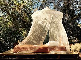 Biovilla Sustentabilidade