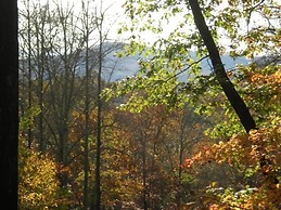 Turkey Feather Nevaeh Cabin Rentals