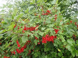 Tallitalo - Garage House