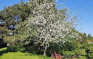 Tallitalo - Garage House