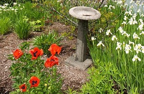 Anne's White Columns Inn