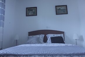 Les Flamants Rose - Gulfview