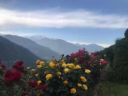 Himalayan Kothi Kais