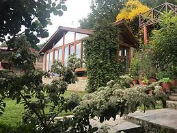 Himalayan Kothi Kais