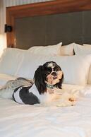 The Westin Monterrey Valle