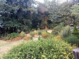 Family Comfort Hotel