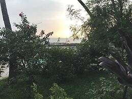 Pension Les Palmiers