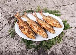 Agroturystyka u przyjaciol Soni