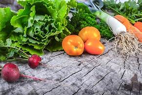 Agroturystyka u przyjaciol Soni
