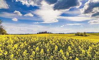 Hotelanlage Tarnewitzer Hof