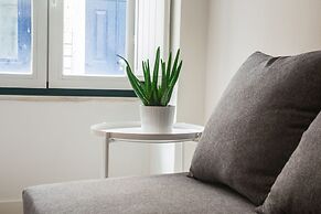 Santos Classic by Homing