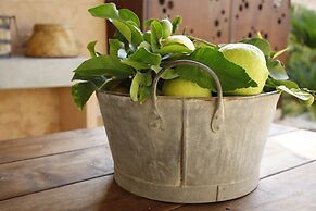 Ca Sa Tieta - Hotel de Interior