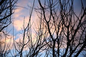 Machanents Art Hotel