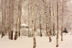 Cottage complex Ozerny Bereg