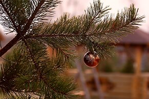 Cottage complex Ozerny Bereg