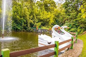 Bomtempo II Chalés by Castelo Itaipava