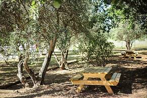 ibis budget Le Cannet des Maures (ouverture juin 2025)