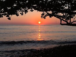 Devi's Place Tejakula