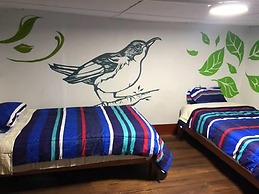 Déjà Vu Backpackers