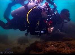 Chalé de Charme MANDOMAI - Suítes Cozinha Compacta e Chalé Gourmet Exc