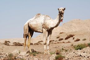 Dahabeya Queen Farida