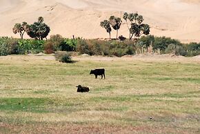 Dahabeya Queen Farida