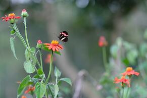 Vila Chico Hotel Fazenda