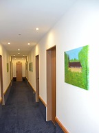 Hotel Birkenstern