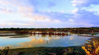 Salt Escapes Nicaragua - Bella Casas