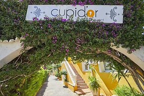 Hotel Cupidor